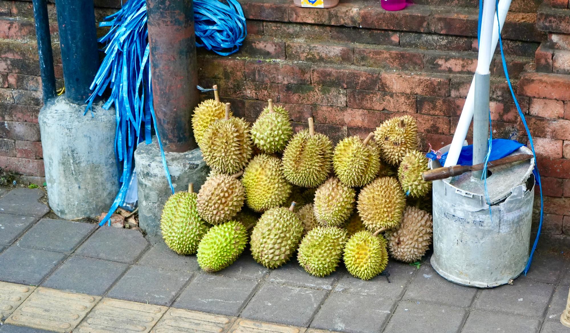 Durien fruits
