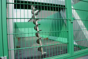 Photo of Dallas Smith