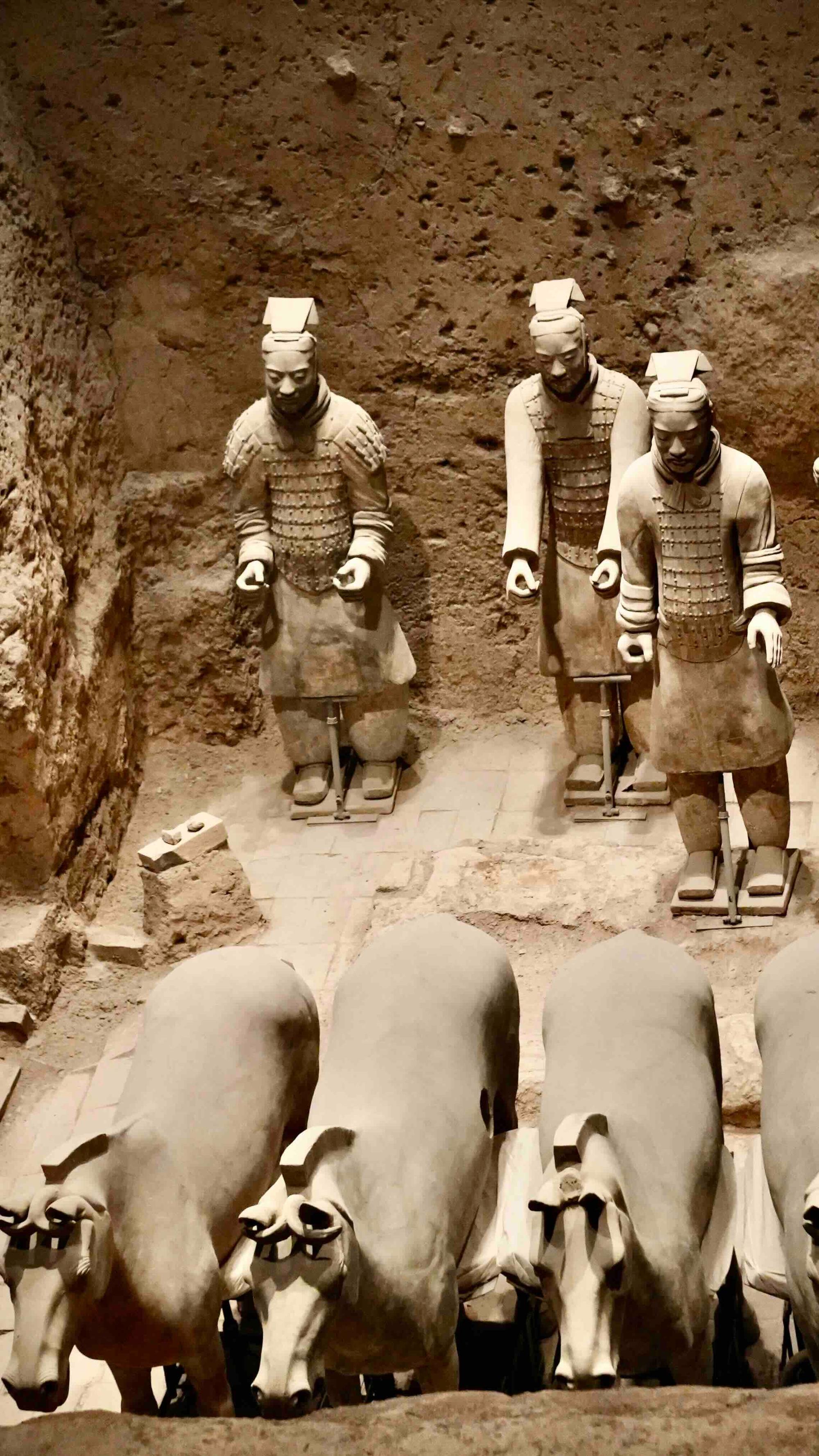 The wooden chariots were previously placed between the warriors and the horses.