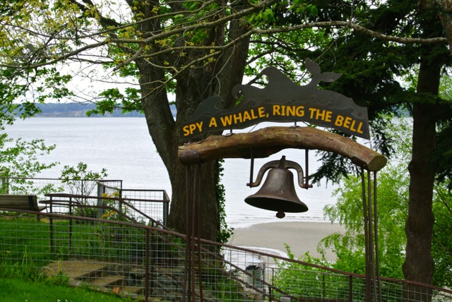 Whale watching community bell