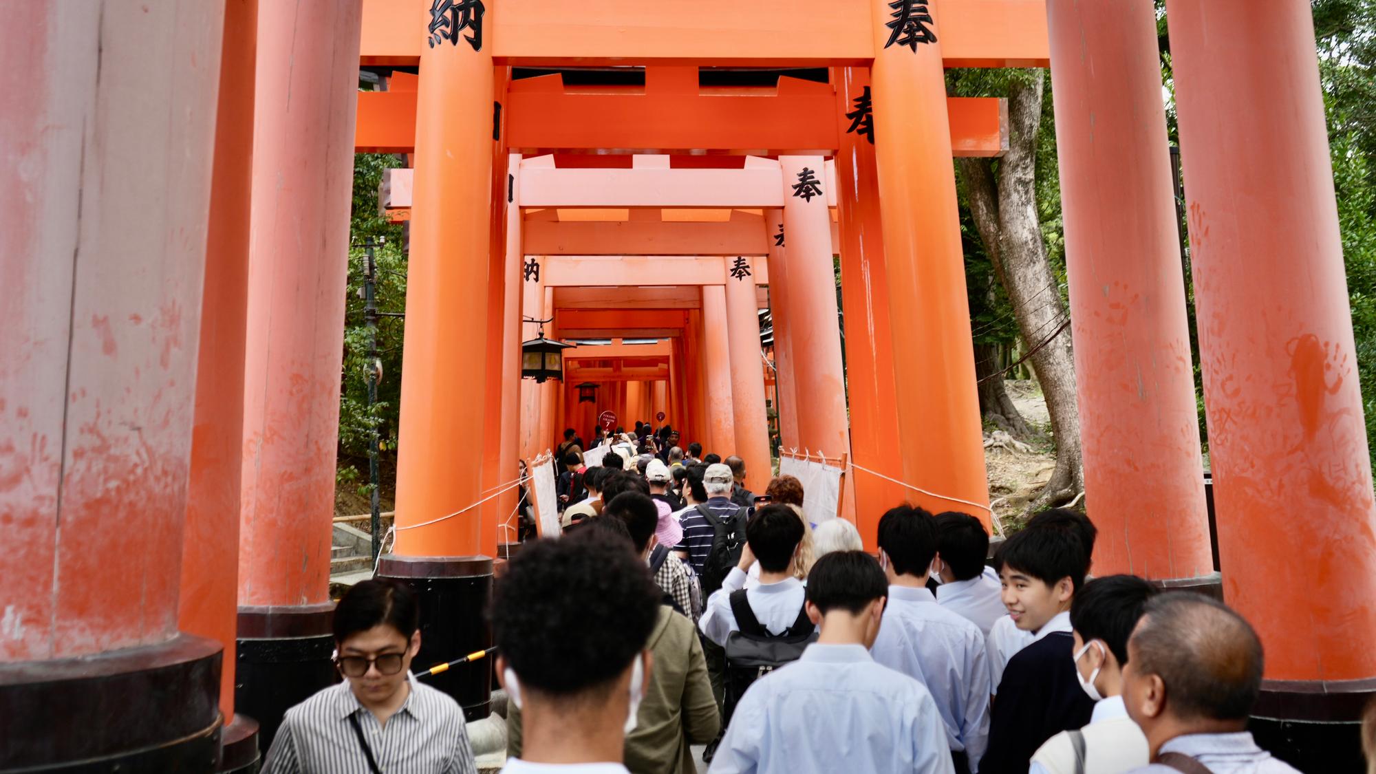 Entering the 100 Torii