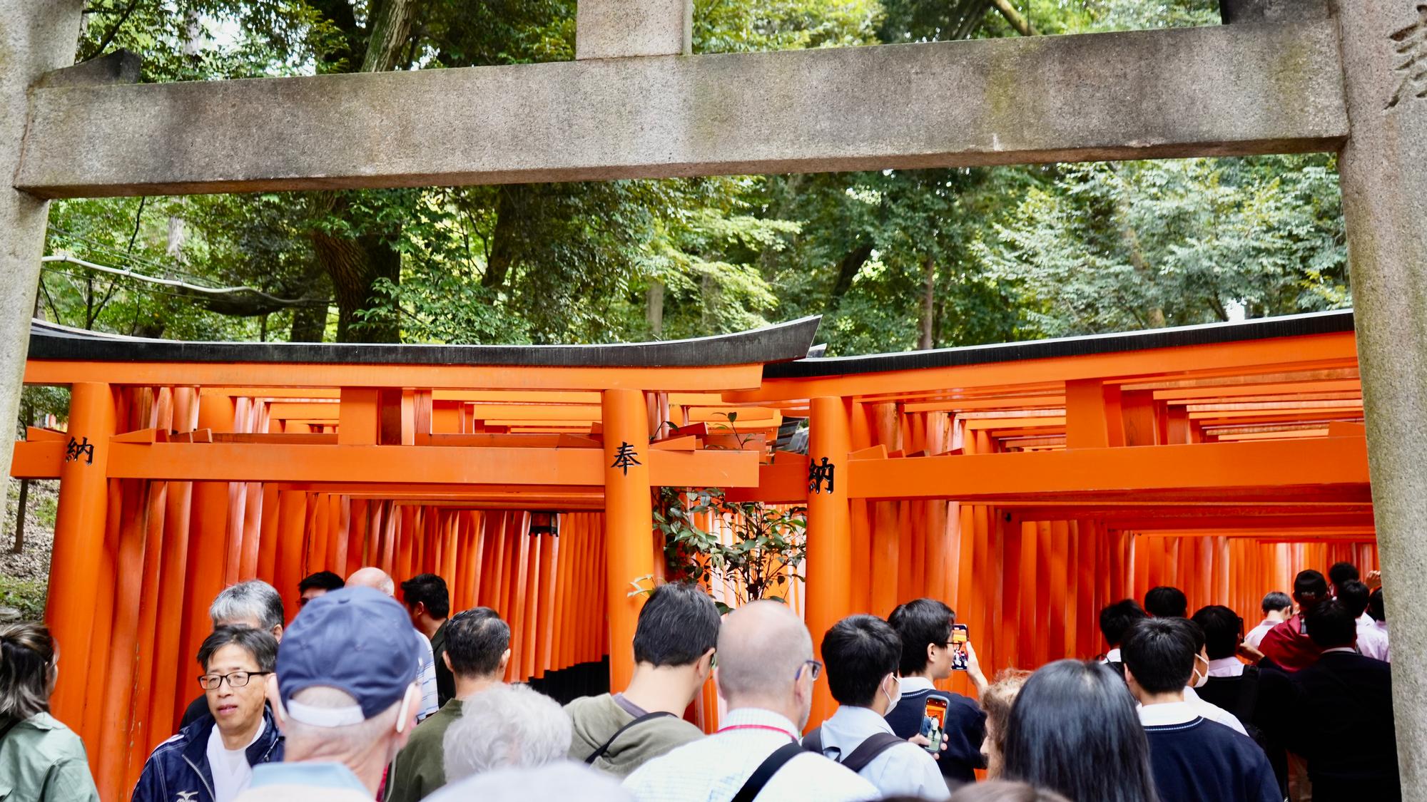 Turnaround point from the 100 Torii