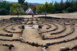 Photo of Dallas Smith