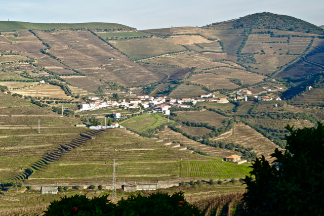 Douro Valley showing both vertical and horizontal terraces