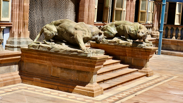 Tigers in the courtyard