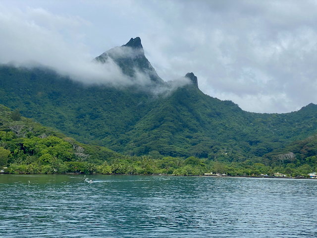 In Favor of Alternative Energy