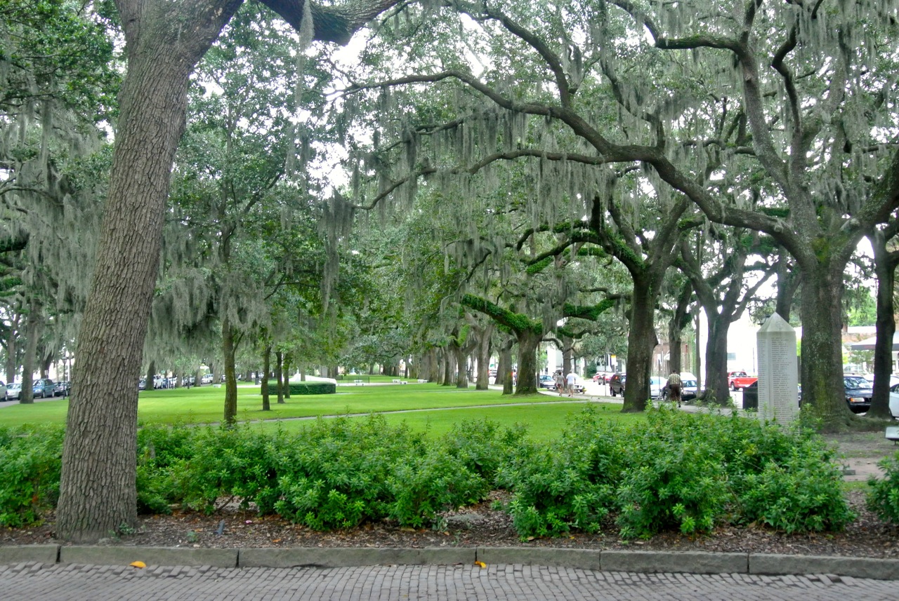 Main Street Savannah