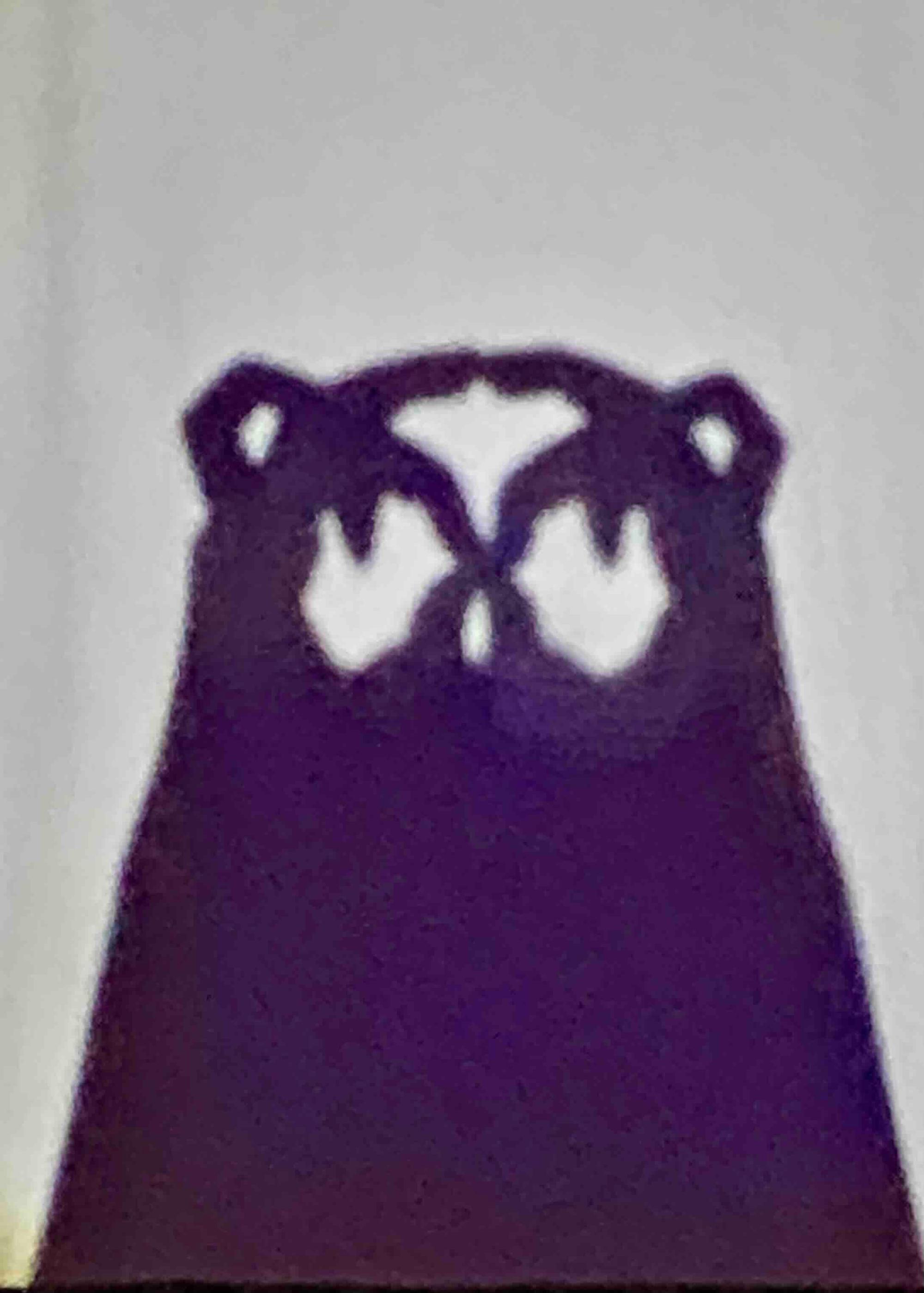 Shadow Puppet Bear