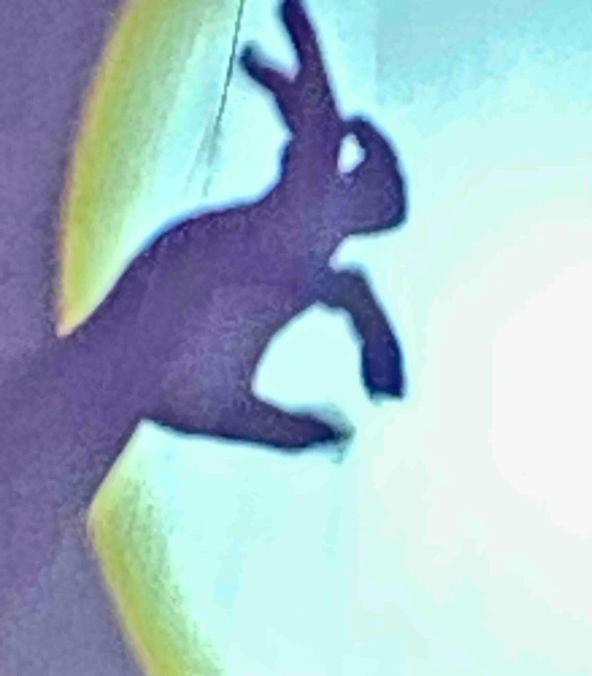 Shadow Puppet Bunny